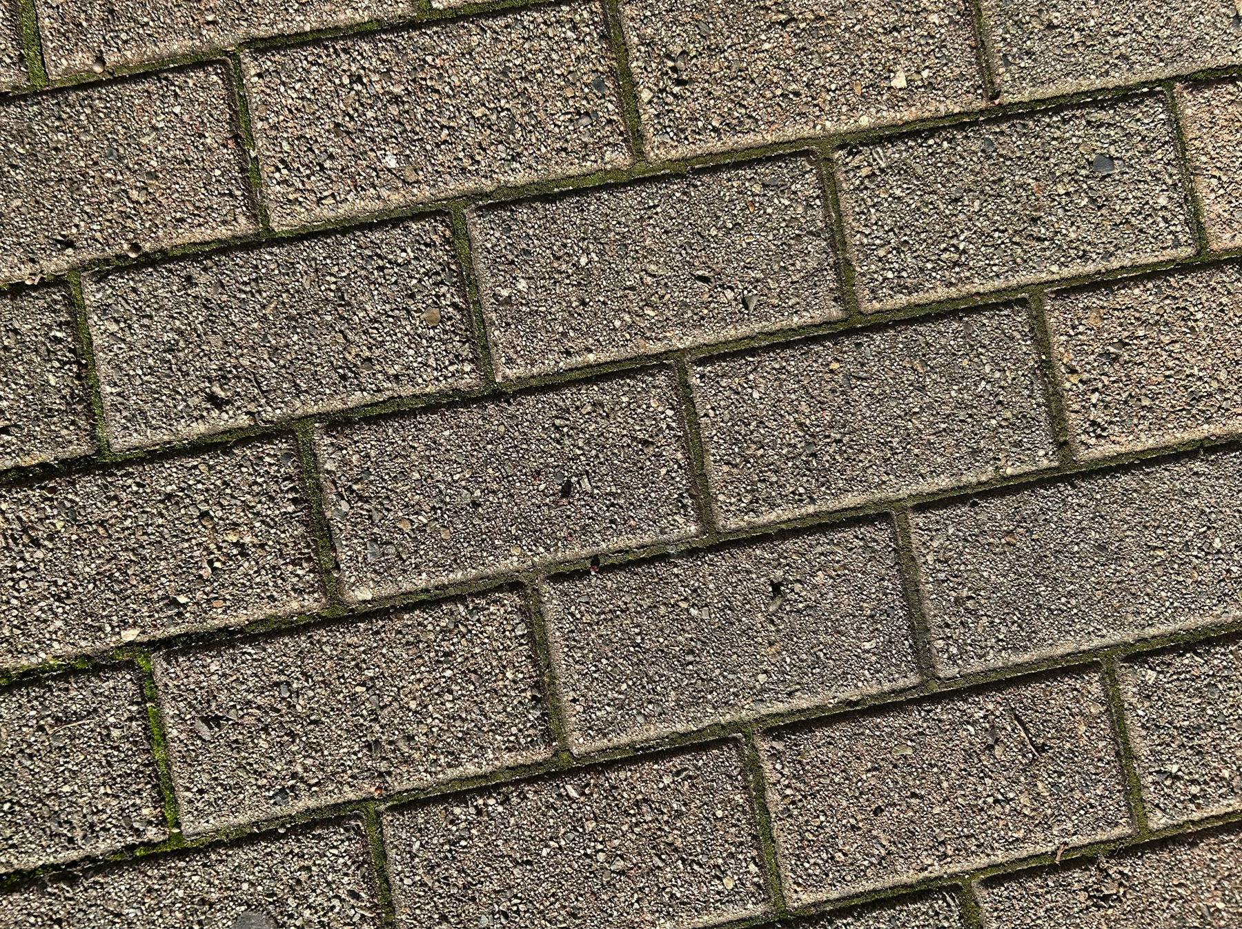 Natursteinboden wird gereinigt