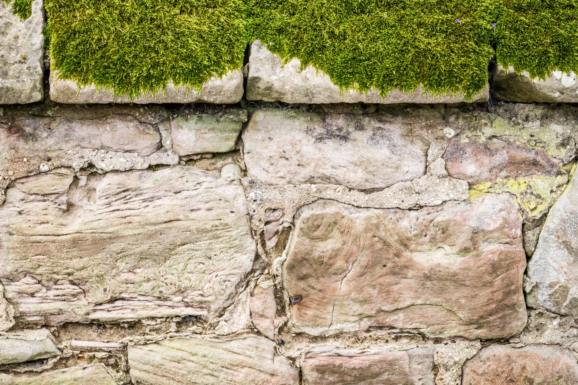 Natursteinmauer mit Moosbefall im Garten